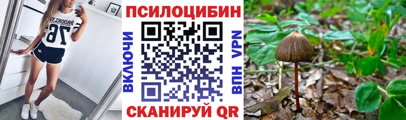 Псилоцибиновые грибы Psilocybine cubensis  где продают наркотики  Елабуга 